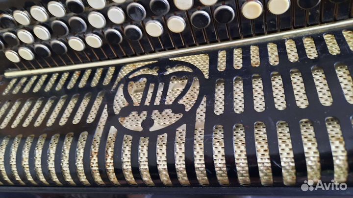 Баян кунгур