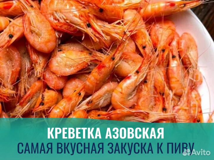 Креветка / Азовская