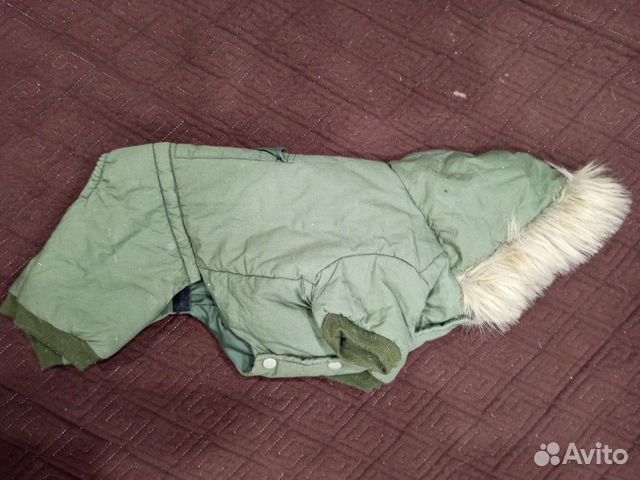 Одежда для собак (куртка и обувь)