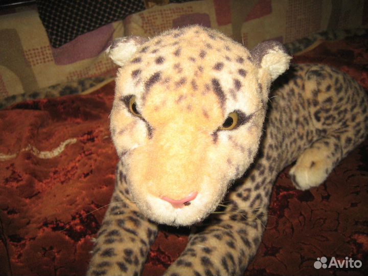 Пятнистый леопард