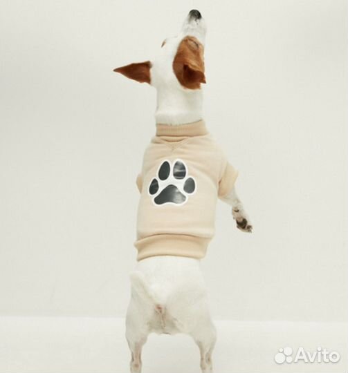 Зимняя одежда для собак