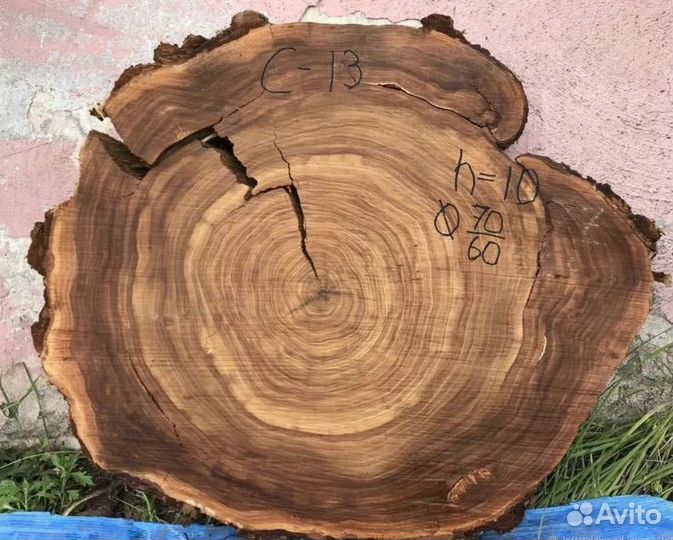 Слэб ясень, дуб, лиственница в Омске