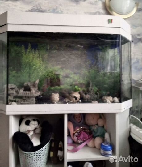 Аквариум 150 л с тумбой белый