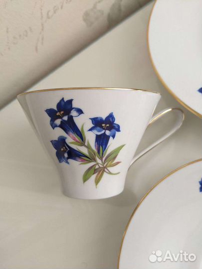 Чайное трио 1950г Германия Хутченройтер