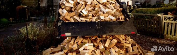 Дрова с Зеленогорска