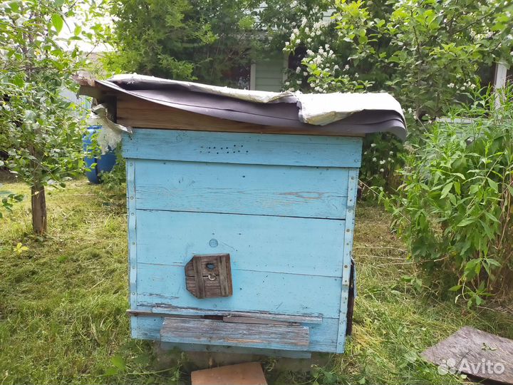 Продам ульи для пчел