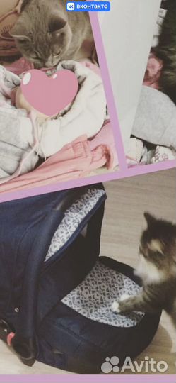 Коляска 3 в 1