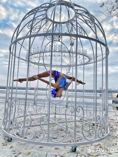 Девушка в бокале / воздушные гимнасты / шоу