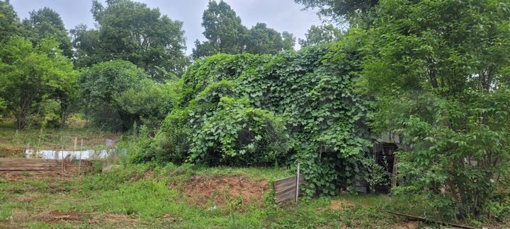 Участок 6 га (СНТ, ДНП)