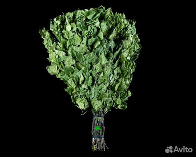 Дубовые веники для бани