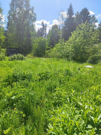 Участок 12 сот. (СНТ, ДНП)