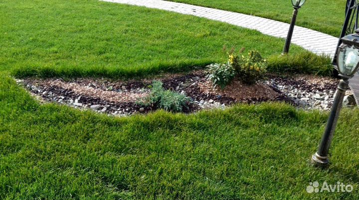 Укладка рулонного газона под ключ, производитель