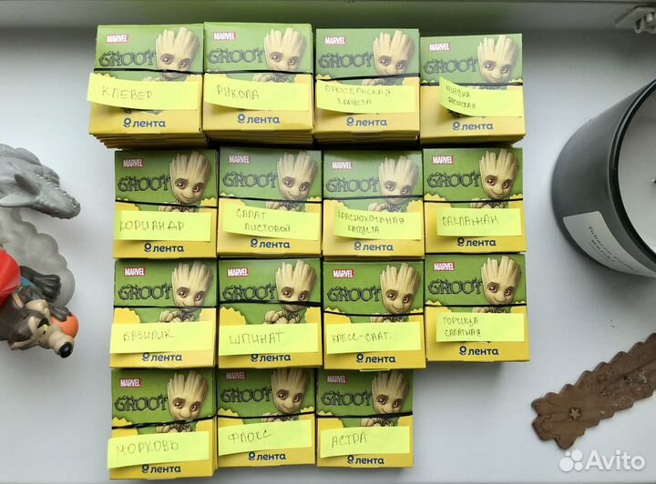 Семена для выращивания Лента groot