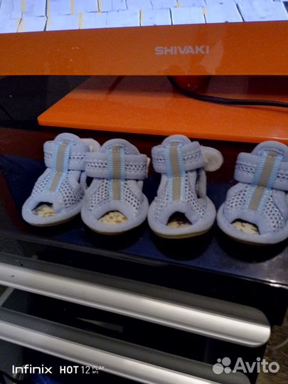 Обувь для'собак