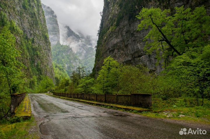 Экскурсия в Абхазию