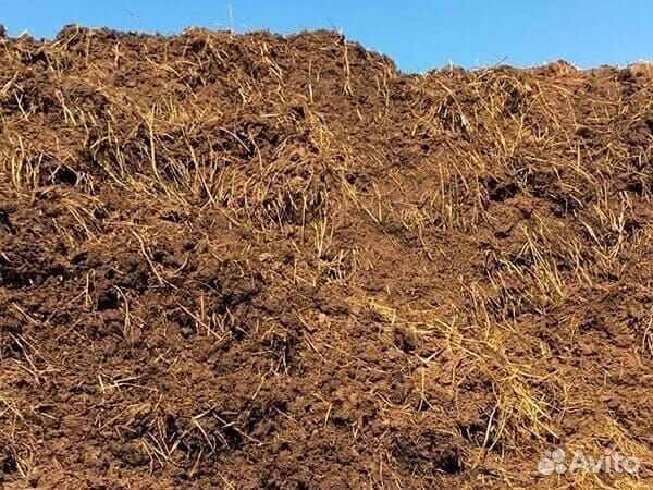 Продам навоз газель цена 3500