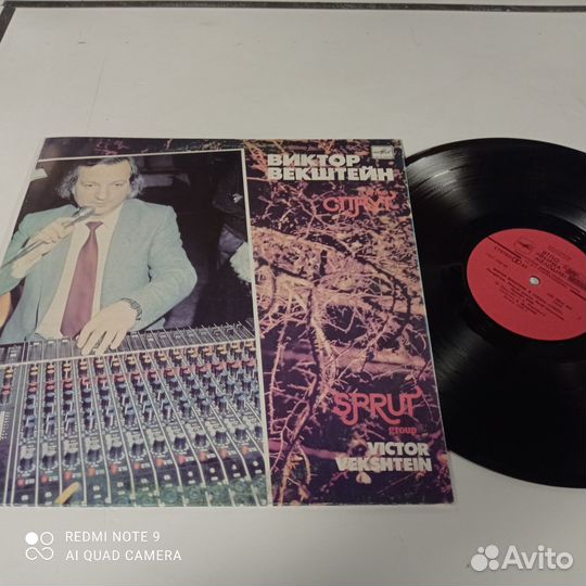 Виктор векштейн группа спрут LP,мелодия