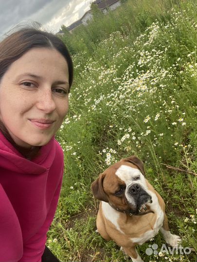 Ветеринарный врач