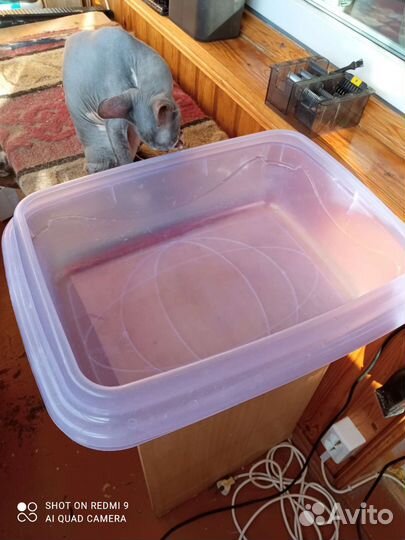 Товары для домашних животных