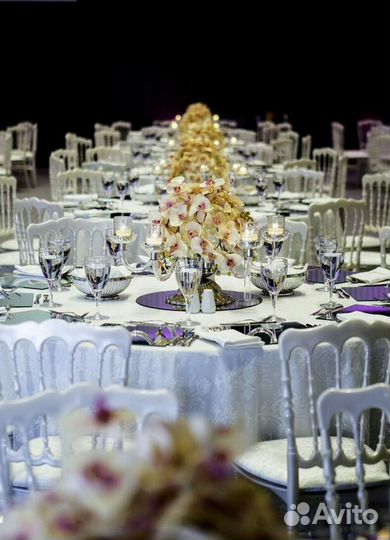 Стулья Кьявари