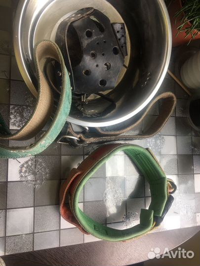 Ошейники, намордник, миска