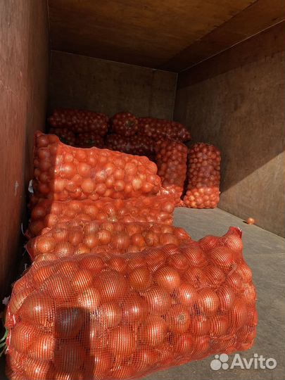 Лук на перо