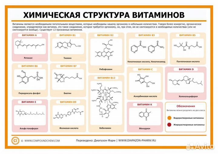 Репетитор по биохимии вуз