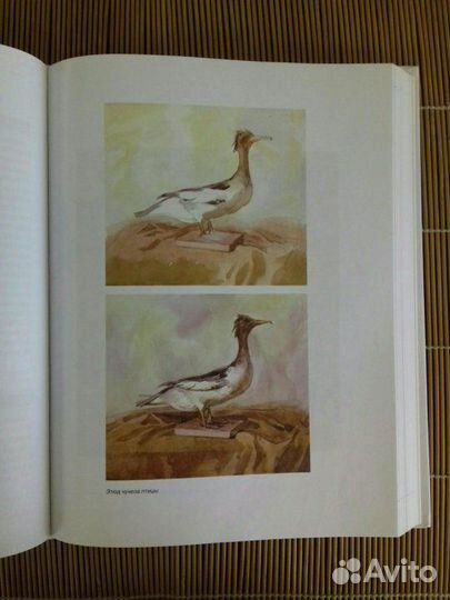 Академическое обучение изобразительному искусству