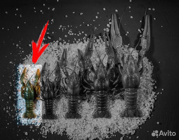 Живые раки волжские с доставкой