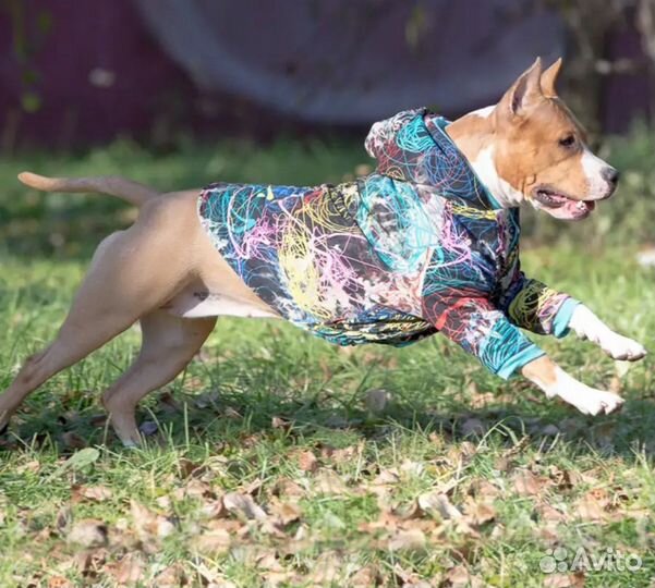 Толстовка для собак