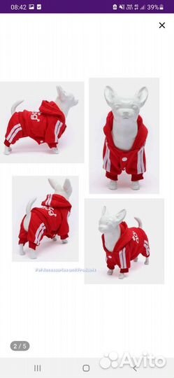 Костюм для собаки или кошки