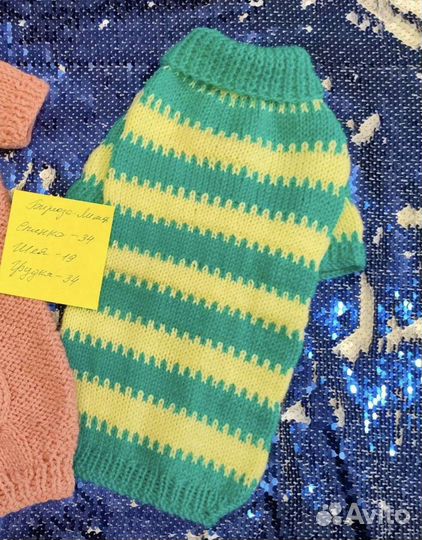 Одежда для животных