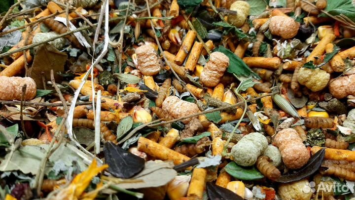 Корм для дегу и шиншилл