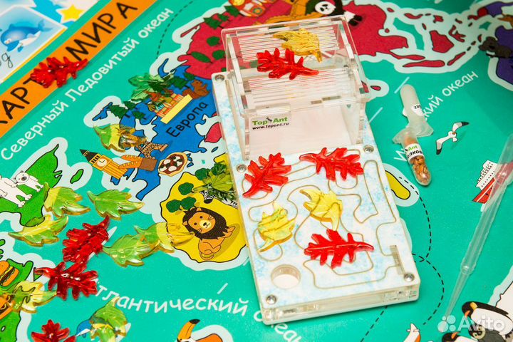 Формикарий / Муравьиная ферма