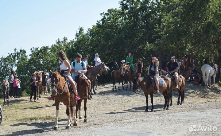 Конные прогулки над Гурзуфом
