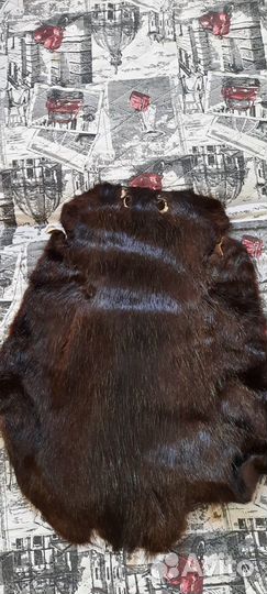 Шкурки нутрии