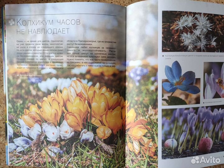 Большая книга. 