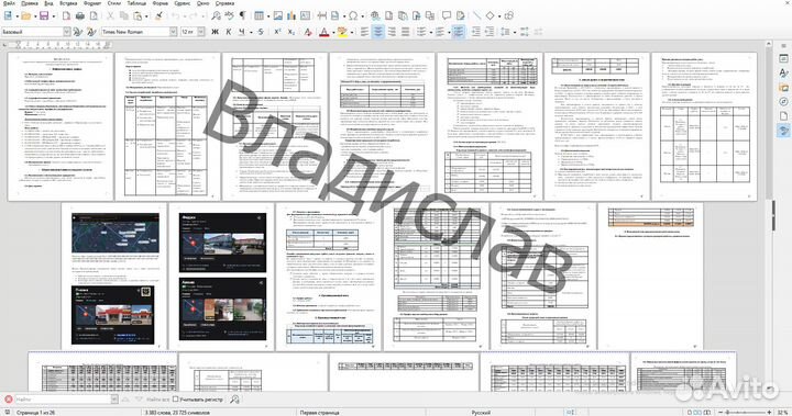 Бизнес-план