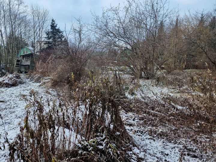 Участок 9 сот. (СНТ, ДНП)