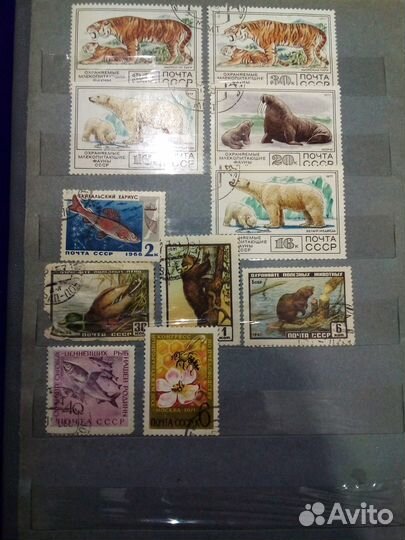 Почтовые марки СССР много продать