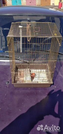 Клетка для попугая бу