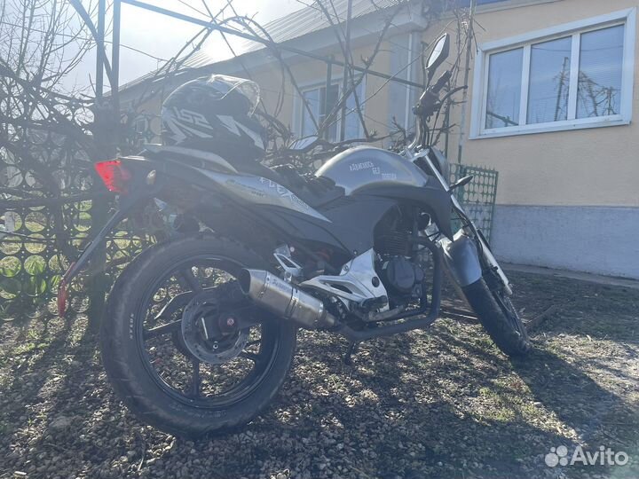 Stels Flex 250