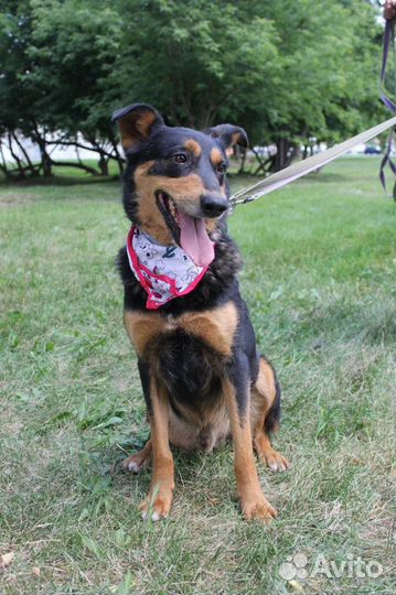 Мальчик Чарли подарить шанс на счастливую жизнь