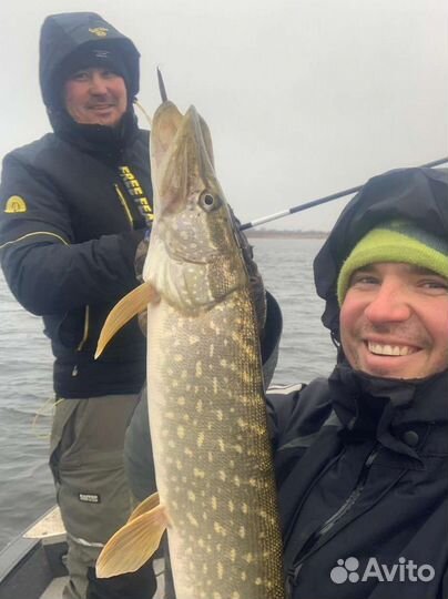 Рыбалка гид Волгоград