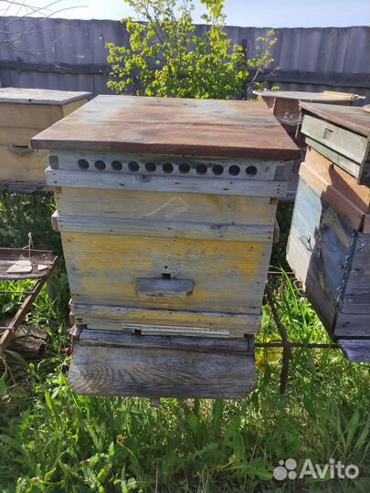 Ульи для пчел (домики)