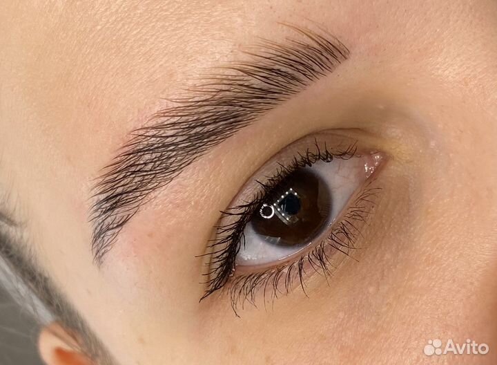 Мастер бровист