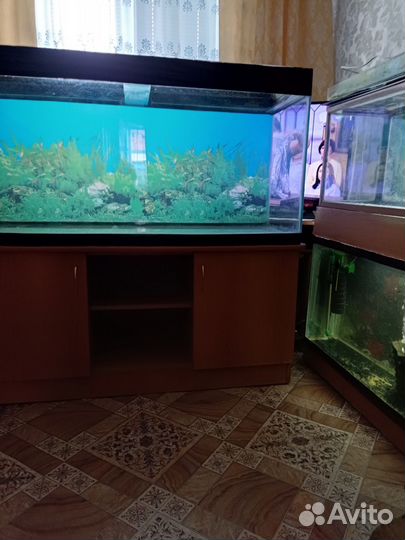 Аквариумы