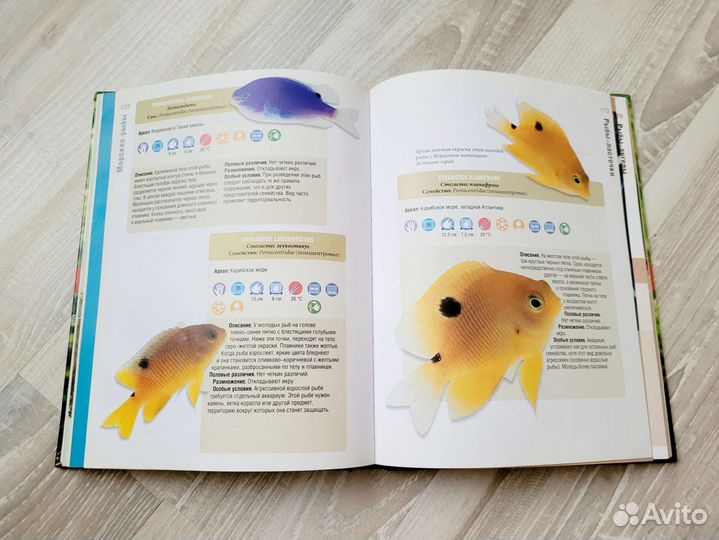 Справочник по аквариумным рыбам