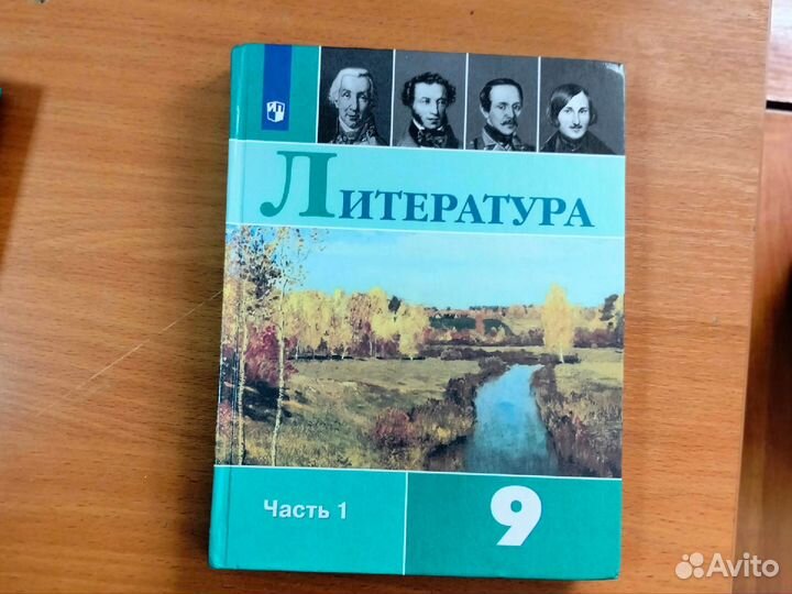 Учебник по литературе 5-9 классы