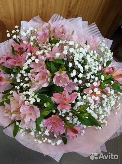 Альстромерия